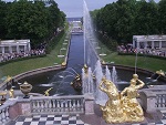 Король в засаде